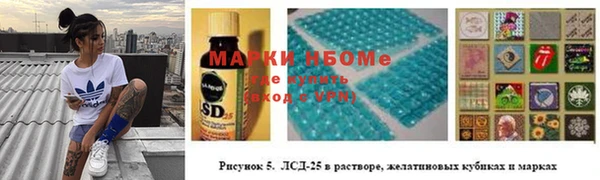 индика Аркадак