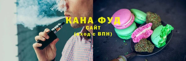 индика Аркадак