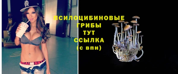 бошки Алзамай