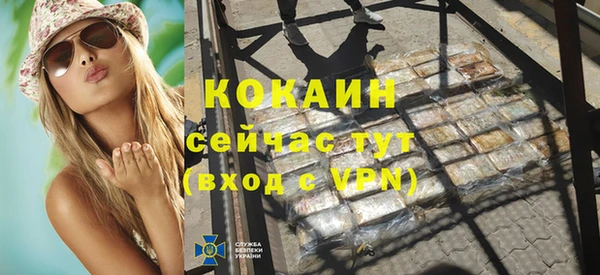 индика Аркадак